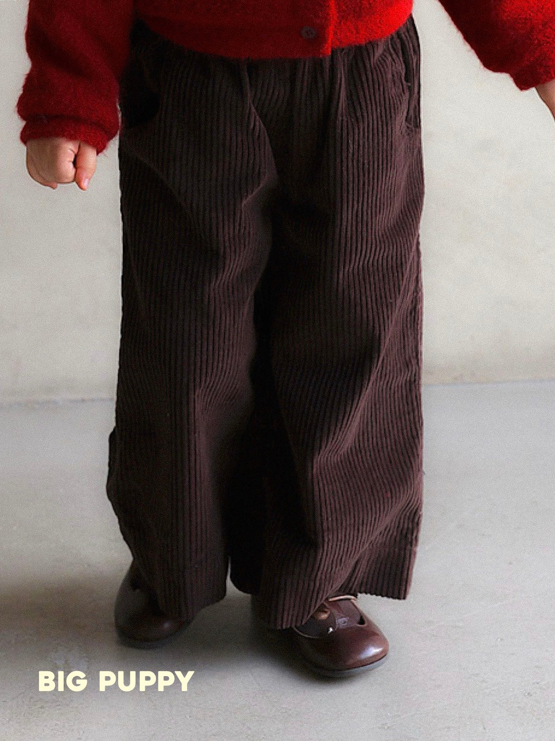 Baggy Corduroy Pants