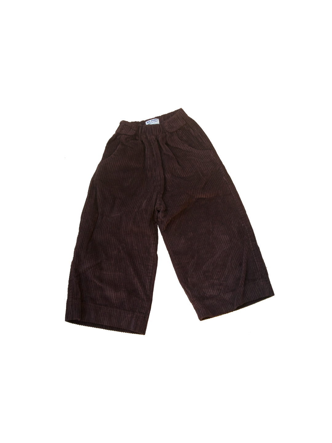 Baggy Corduroy Pants